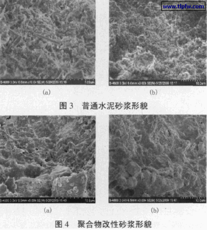 普通水泥砂浆形貌聚合物改性砂浆形貌