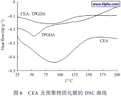 CEA 及预聚物固化膜的DSC 曲线
