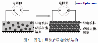 固化干燥前后导电涂膜结构