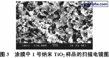 涂膜中1 号纳米TiO2 样品的扫描电镜图