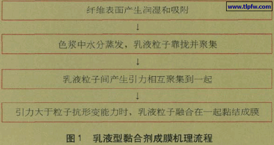 乳液型黏合剂成膜机理流程