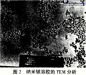 纳米银溶胶的TEM分析