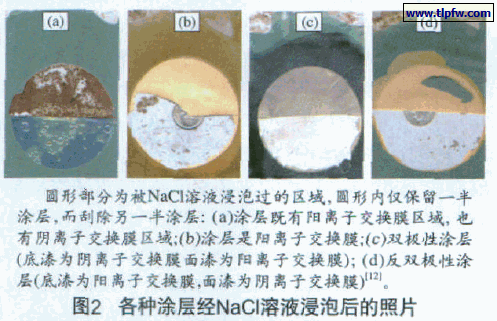 各种涂层经NaCl溶液浸泡后的照片