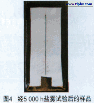 经5 000 h盐雾试验后的样品
