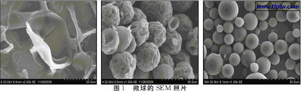 微球的ＳＥＭ 照片