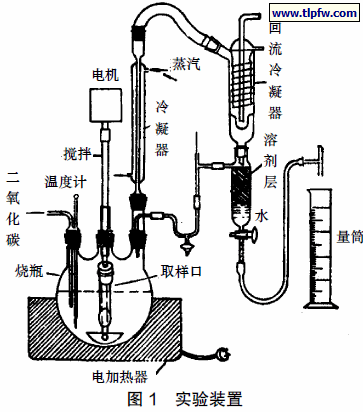 实验装置