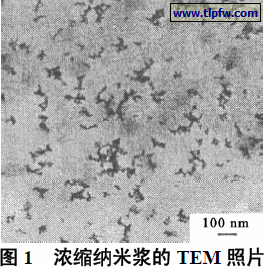 浓缩纳米浆的TEM 照片