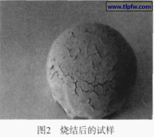 烧结后的试样