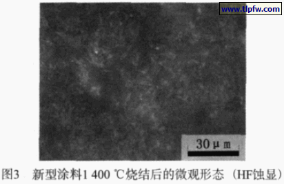 新型涂料1 400℃烧结后的微观形态（HF蚀显）