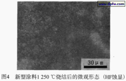 新型涂料1 250℃烧结后的微观形态（HF蚀显）