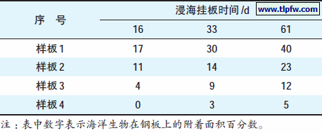 试片浸海挂板结果