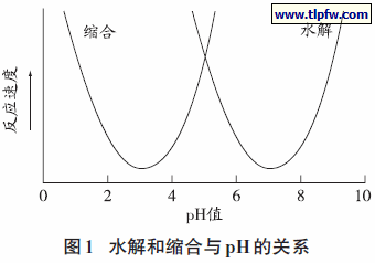 水解和缩合与pH的关系