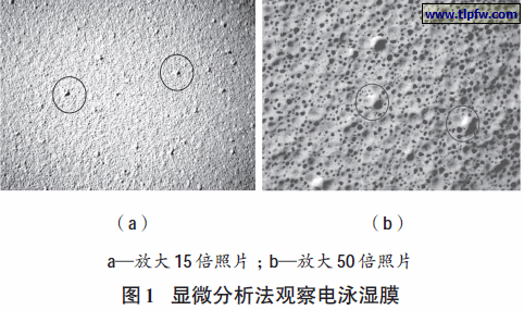 显微分析法观察电泳湿膜