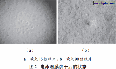 电泳湿膜烘干后的状态