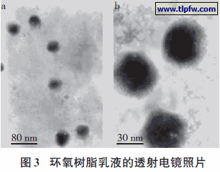 环氧树脂乳液的透射电镜照片
