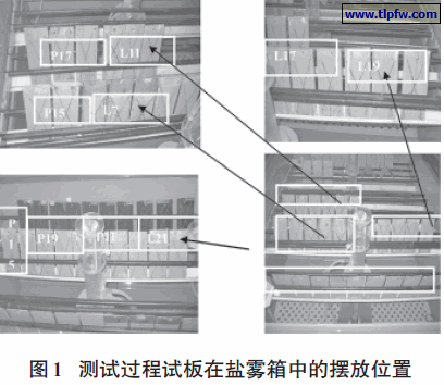 测试过程试板在盐雾箱中的摆放位置
