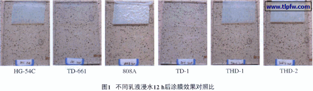 不同乳液浸水12 h后涂膜效果对照比