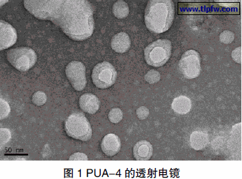 PUA-4 的透射电镜