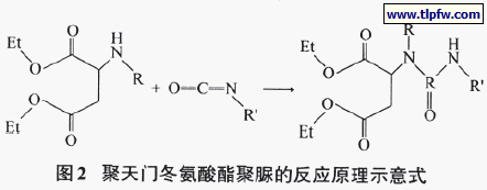 聚天门冬氨酸酯聚脲的反应原理示意式