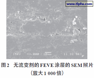 无流变剂的FEVE涂层的SEM照片