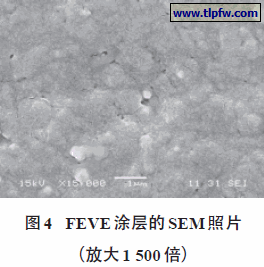 FEVE 涂层的SEM照片