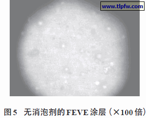 无消泡剂的FEVE涂层（×100 倍）