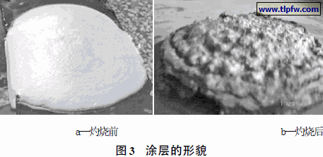 涂层的形貌