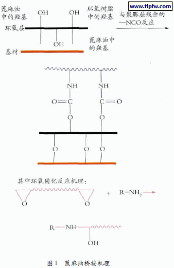 蓖麻油桥接机理