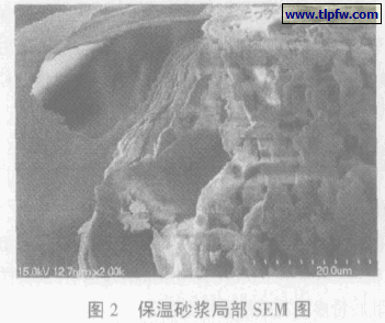 保温砂浆局部SEM图