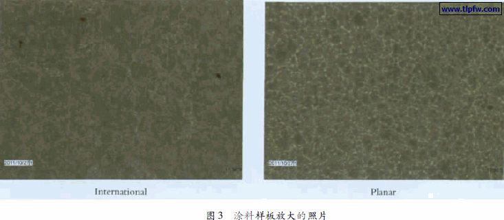 涂料样板放大的照片