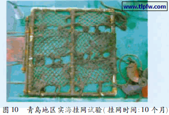 青岛地区实海挂网试验( 挂网时间: 10 个月)