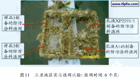 三亚地区实海挂网试验( 挂网时间: 6 个月)