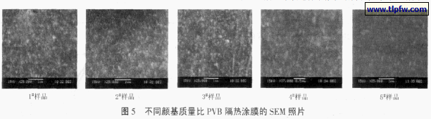 不同颜基质量比PVB 隔热涂膜的SEM照