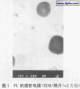 PU 的透射电镜（TEM）照片（×2 万倍