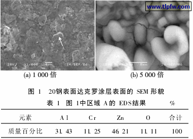 20钢表面达克罗涂层表面的SEM形貌