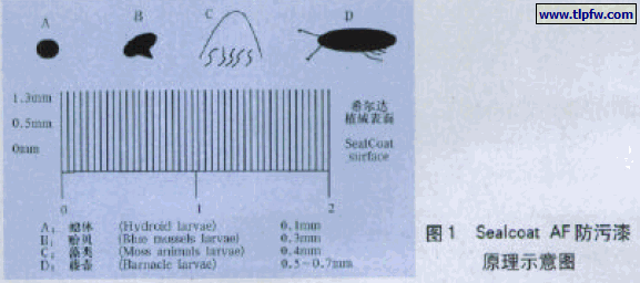 Sealcoat AF防污漆的防污原理