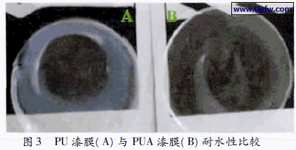 PU 漆膜( A) 与PUA 漆膜( B) 耐水性比较