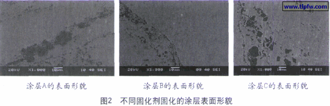 同固化剂固化的涂层表面形貌