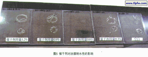 添加不同量复合催干剂的水性醇酸涂膜耐水性试验图