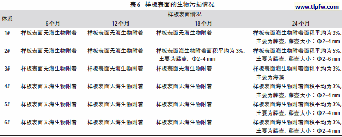 样板表面的生物污损情况