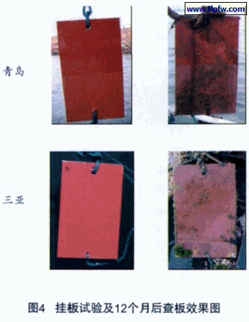 挂板试验及12个月后查板效果图