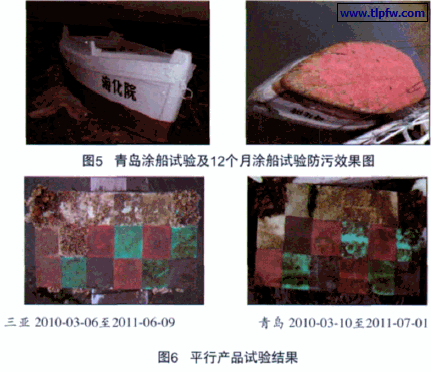 青岛涂船试验及12个月涂船试验防污效果图