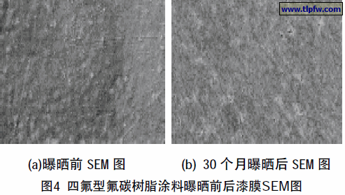 四氟型氟碳树脂涂料曝晒前后漆膜SEM图