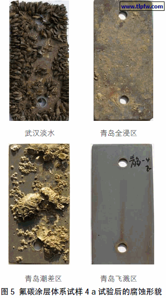 氟碳涂层体系试样4 a 试验后的腐蚀形貌