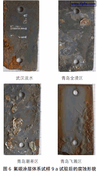 氟碳涂层体系试样9 a 试验后的腐蚀形貌