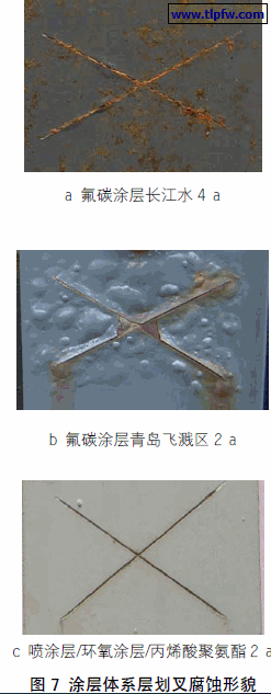 涂层体系层划叉腐蚀形貌