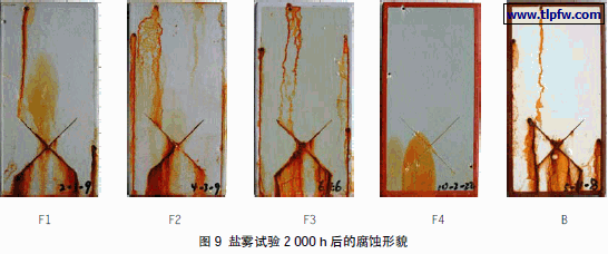 盐雾试验2 000 h 后的腐蚀形貌