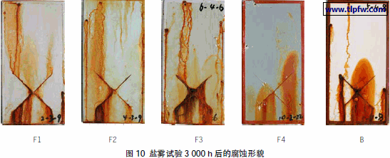 盐雾试验3 000 h 后的腐蚀形貌