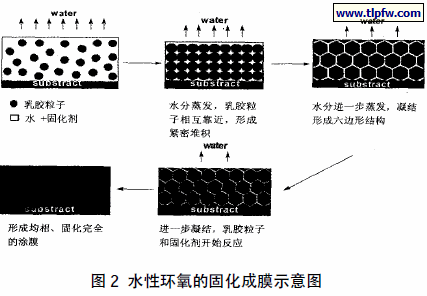 水性环氧的固化成膜示意图
