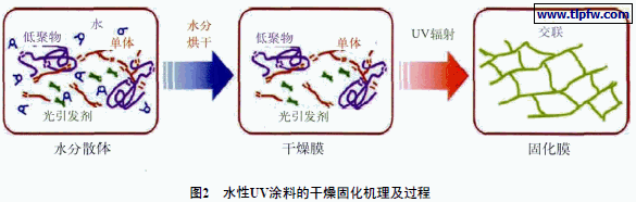水性UV涂料的干燥固化机理及过程